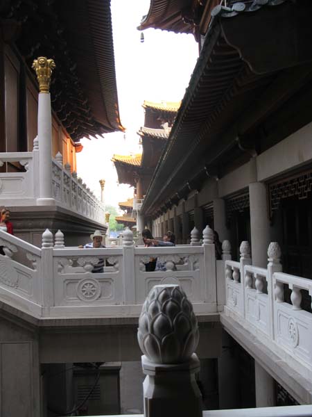 Temple Shangaï - Taichi Pro